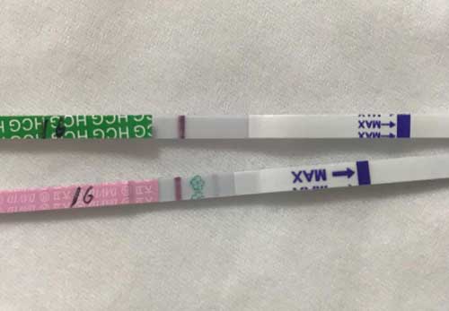 移植鲜胚十三天白板是不是失败了？等待医院抽血检查结果！