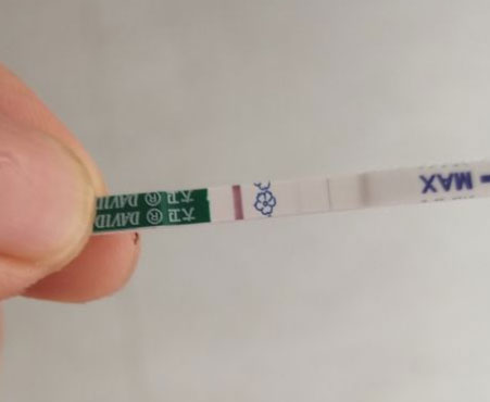 试管14天血值指什么？一般正常值在多少？