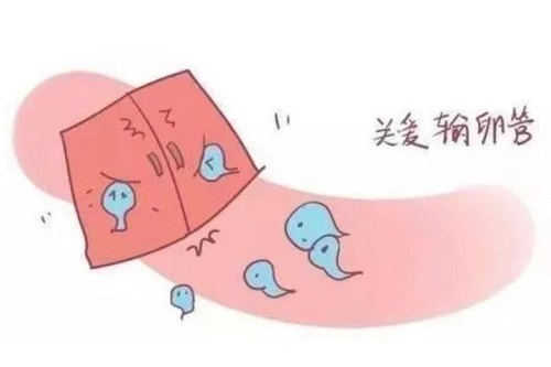 做试管婴儿需要用输卵管吗？试管婴儿详细过程如何操作？
