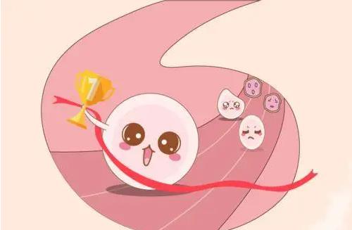 做试管婴儿后能同房吗？试管婴儿期间可以同房吗？